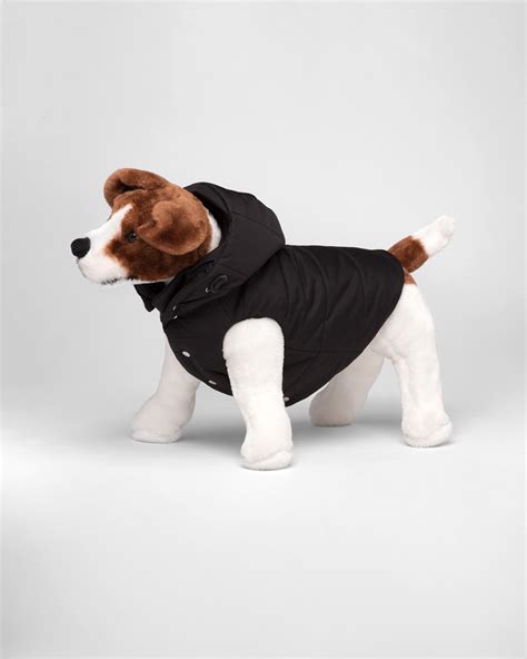 prada puffer jacket for dogs|prada puffer jacket sale.